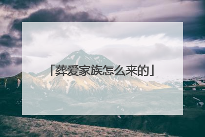 葬爱家族怎么来的