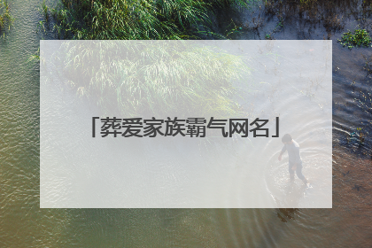 葬爱家族霸气网名