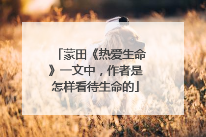 蒙田《热爱生命》一文中，作者是怎样看待生命的