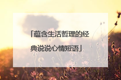 蕴含生活哲理的经典说说心情短语