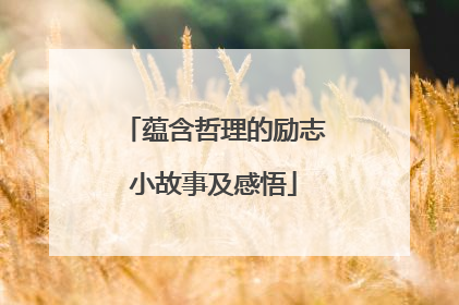 蕴含哲理的励志小故事及感悟