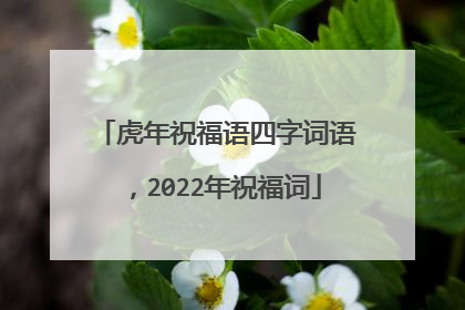 虎年祝福语四字词语，2022年祝福词