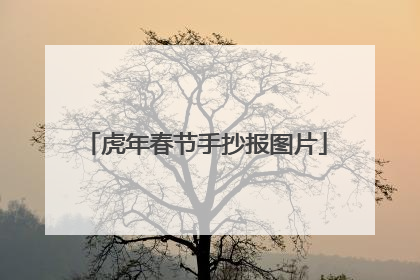 虎年春节手抄报图片
