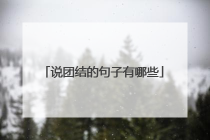说团结的句子有哪些