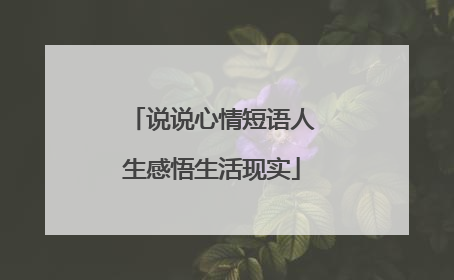 说说心情短语人生感悟生活现实