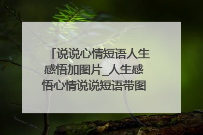 说说心情短语人生感悟加图片_人生感悟心情说说短语带图片说说(2)