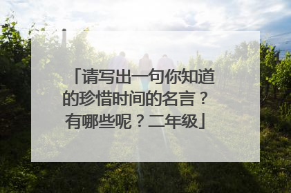 请写出一句你知道的珍惜时间的名言?有哪些呢?二年级