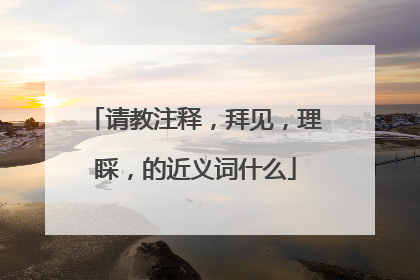 请教注释,拜见,理睬,的近义词什么