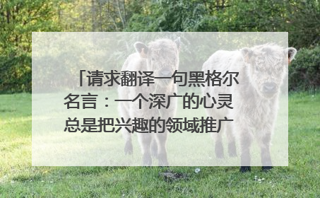 请求翻译一句黑格尔名言：一个深广的心灵总是把兴趣的领域推广到无数事物上去。