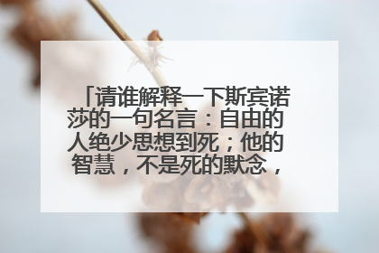 请谁解释一下斯宾诺莎的一句名言：自由的人绝少思想到死；他的智慧，不是死的默念，而是生的沉思。