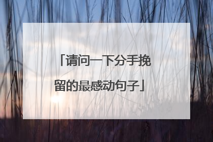 请问一下分手挽留的最感动句子