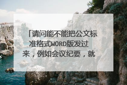 请问能不能把公文标准格式WORD版发过来，例如会议纪要，就是直接编辑那种。