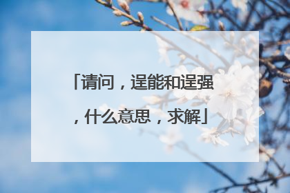 请问，逞能和逞强，什么意思，求解
