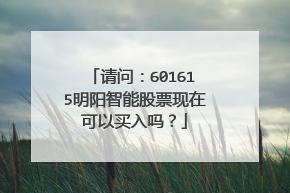 请问:601615明阳智能股票现在可以买入吗?