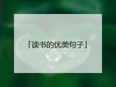 读书的优美句子
