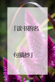 读书的名句摘抄