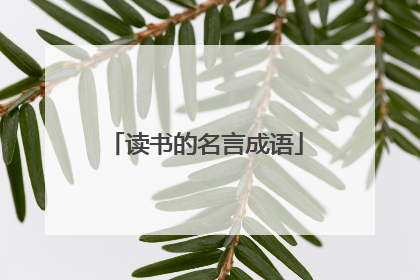 读书的名言成语