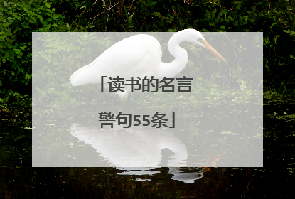 读书的名言警句55条