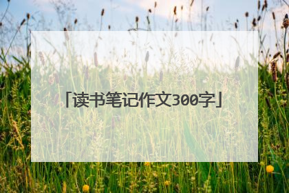 读书笔记作文300字