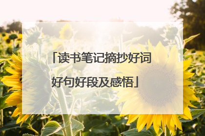 读书笔记摘抄好词好句好段及感悟