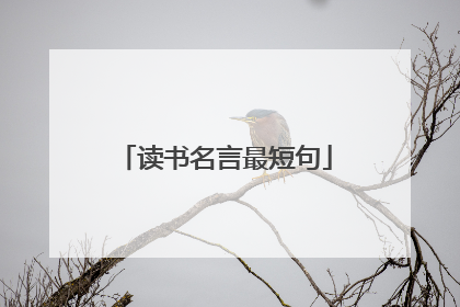 读书名言最短句
