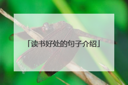 读书好处的句子介绍