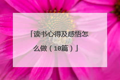 读书心得及感悟怎么做(10篇)
