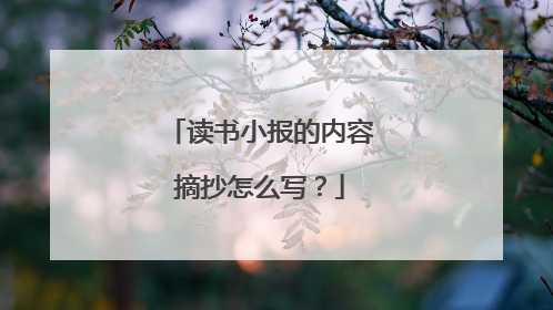 读书小报的内容摘抄怎么写？