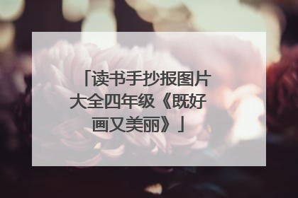 读书手抄报图片大全四年级《既好画又美丽》