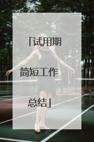 试用期简短工作总结