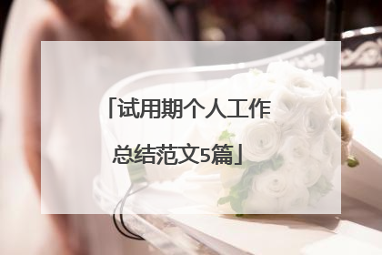 试用期个人工作总结范文5篇