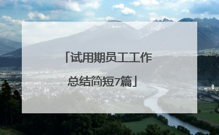 试用期员工工作总结简短7篇