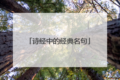 诗经中的经典名句
