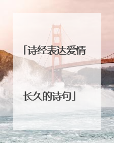 诗经表达爱情长久的诗句