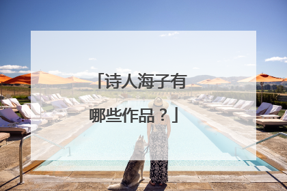 诗人海子有哪些作品？