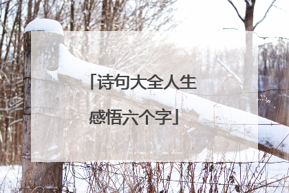 诗句大全人生感悟六个字