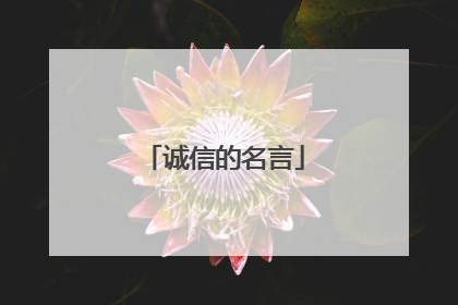 诚信的名言