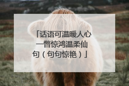 话语可温暖人心 一瞥惊鸿温柔仙句（句句惊艳）