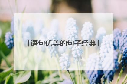 语句优美的句子经典