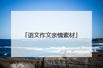 语文作文亲情素材