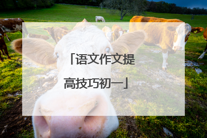 语文作文提高技巧初一