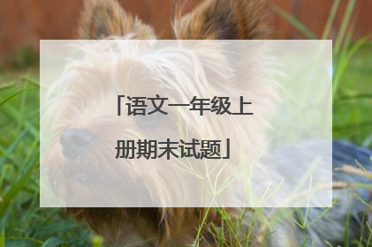 语文一年级上册期末试题