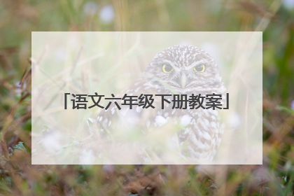 语文六年级下册教案
