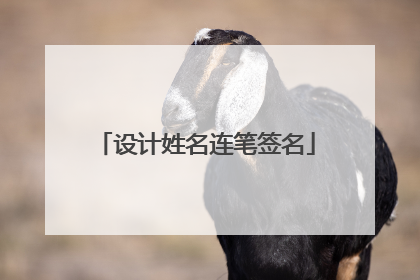 设计姓名连笔签名