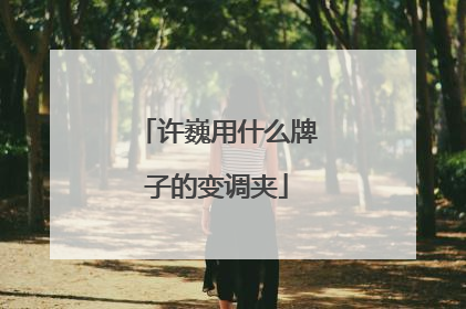许巍用什么牌子的变调夹