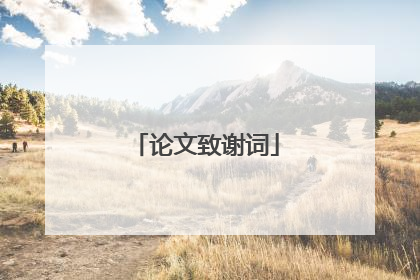 论文致谢词
