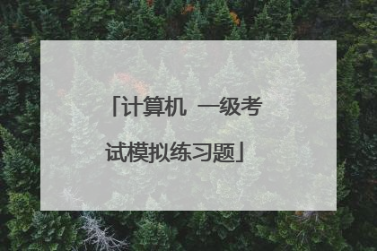 计算机 一级考试模拟练习题