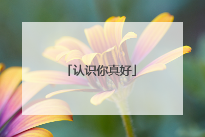认识你真好