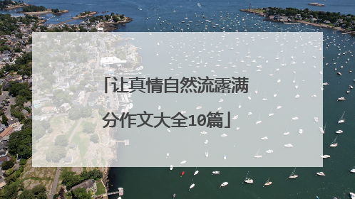 让真情自然流露满分作文大全10篇