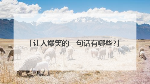 让人爆笑的一句话有哪些?